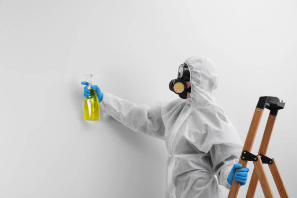 Best Residential Mold Inspection & Testing  in Avalon, CA